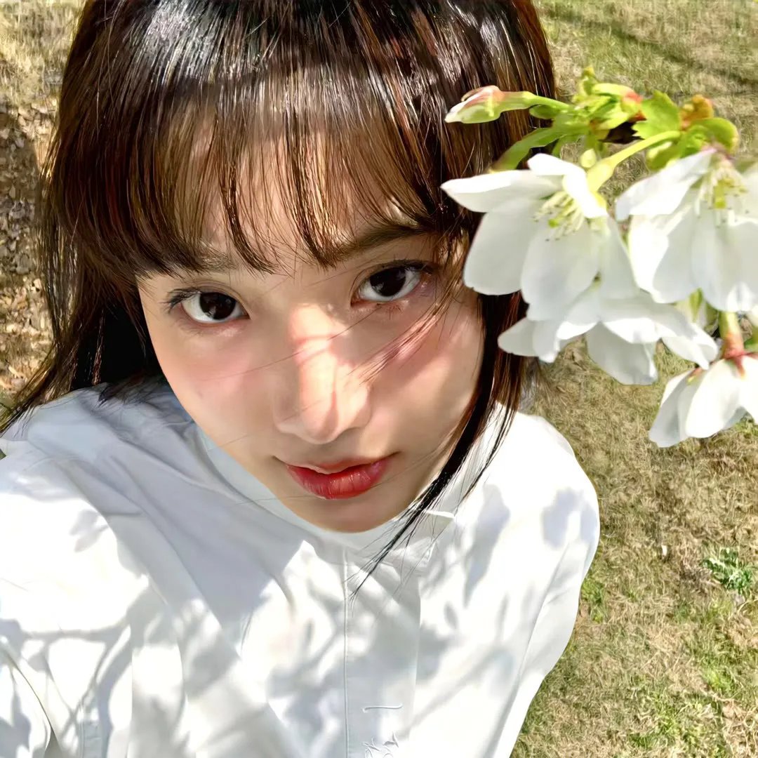 龙虎门